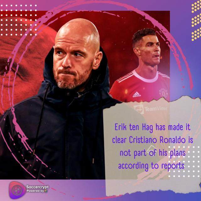 1650046954197096599.jpg d379fcfb-b064-4025-9407-0331a713d4af.jpg